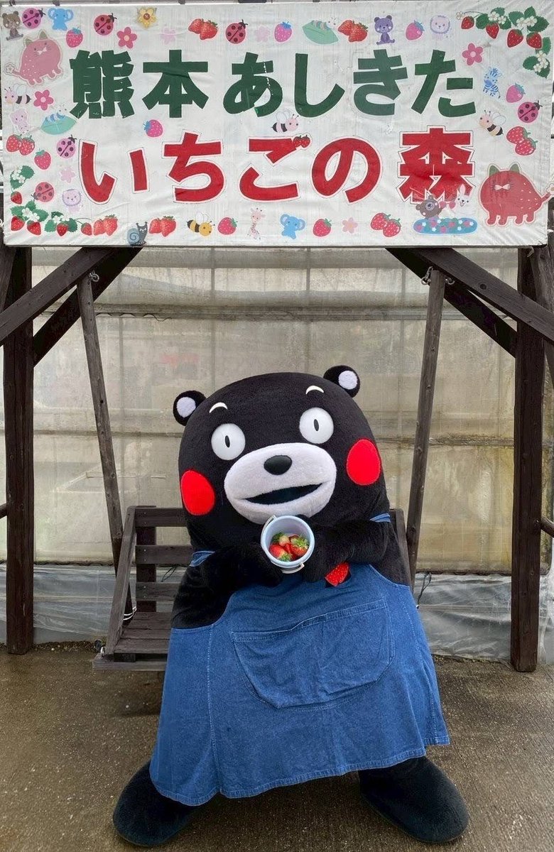 A.Saka💖🌸🐈🦿 (@396neko) / Posts / X