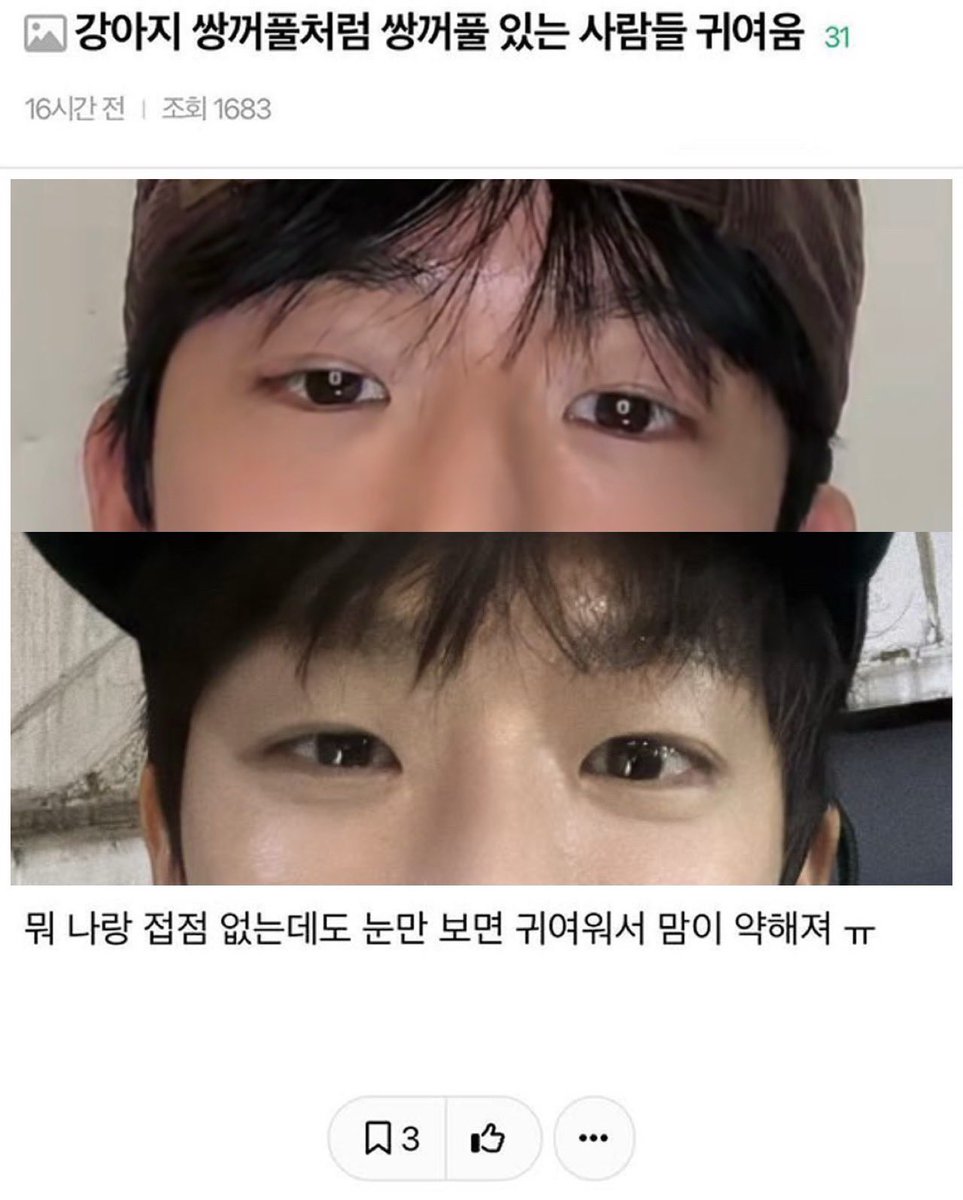 담람쥐 tweet media