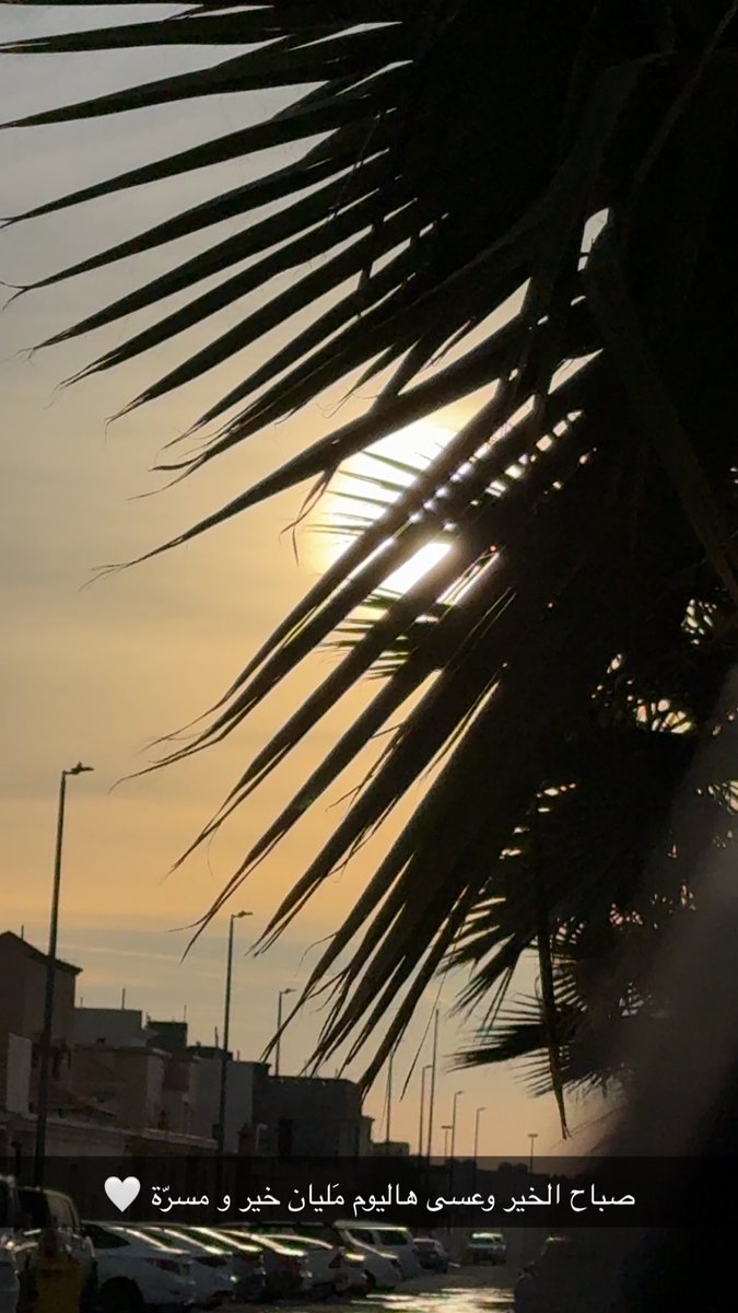 mnnsmn's tweet photo. لا عليك , هي بإذن اللَّه وليست بإذن البشر https://t.co/p4NhezT9JK