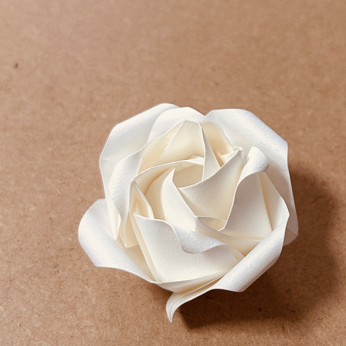 pinceana16's tweet photo. 42/365 Nanamaru rose designed by @SPondpaddyfield
久しぶりにstiltsさんのななまるローズを折りました。またワークショップをするので復習しておかないと。
#365origamichallenge #origamirose #折り紙 #ななまるローズ https://t.co/cY8cAoddr0