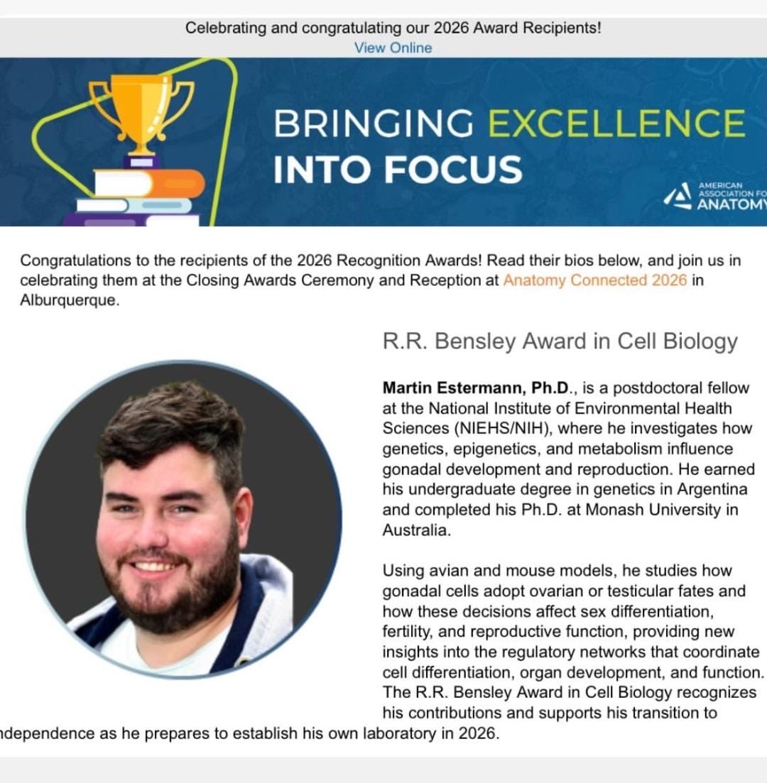 Martín Estermann tweet media