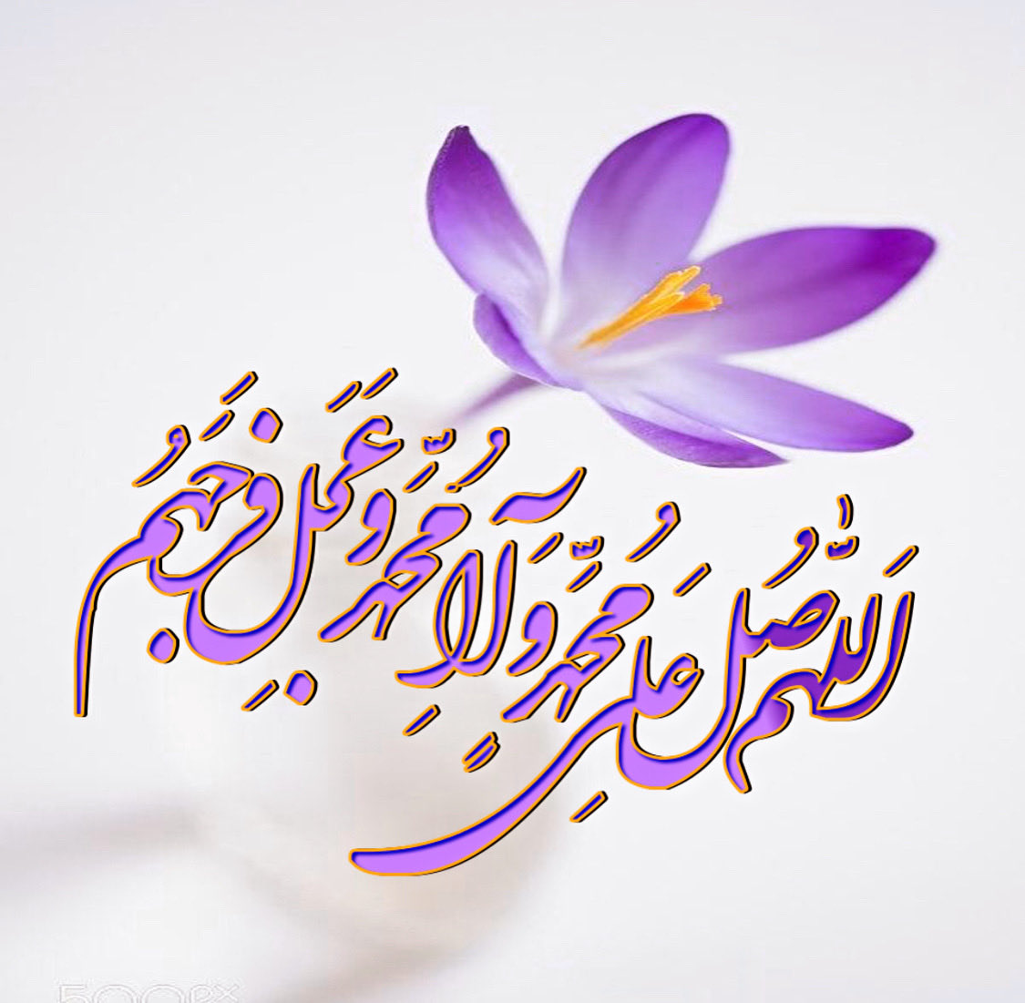 صَلَوَاتُ اللهِ وَصَلَوَاتُ مَلائِكَتِهِ وَأَنْبِيَائِهِ وَرُسُلِهِ وَجَمِيعِ خَلْقِهِ عَلَى مُحَمَّدٍ وَآلِ مُحَمَّدٍ ، وَالسَّلامُ عَلَيْهِ وَعَلَيْهِمْ وَرَحْمَةُ اللهِ وَبَرَكَاتُه