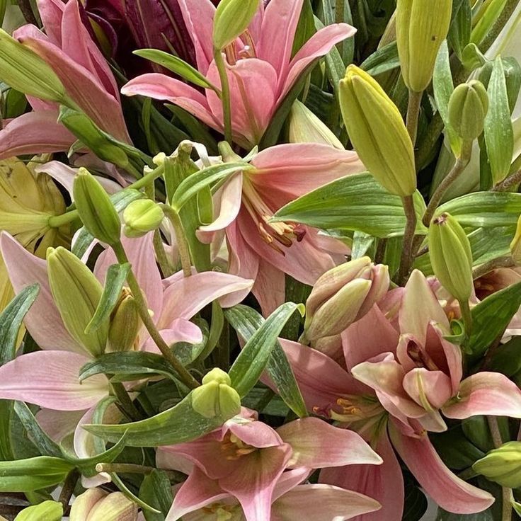 @ cey ; booktwt tweet media