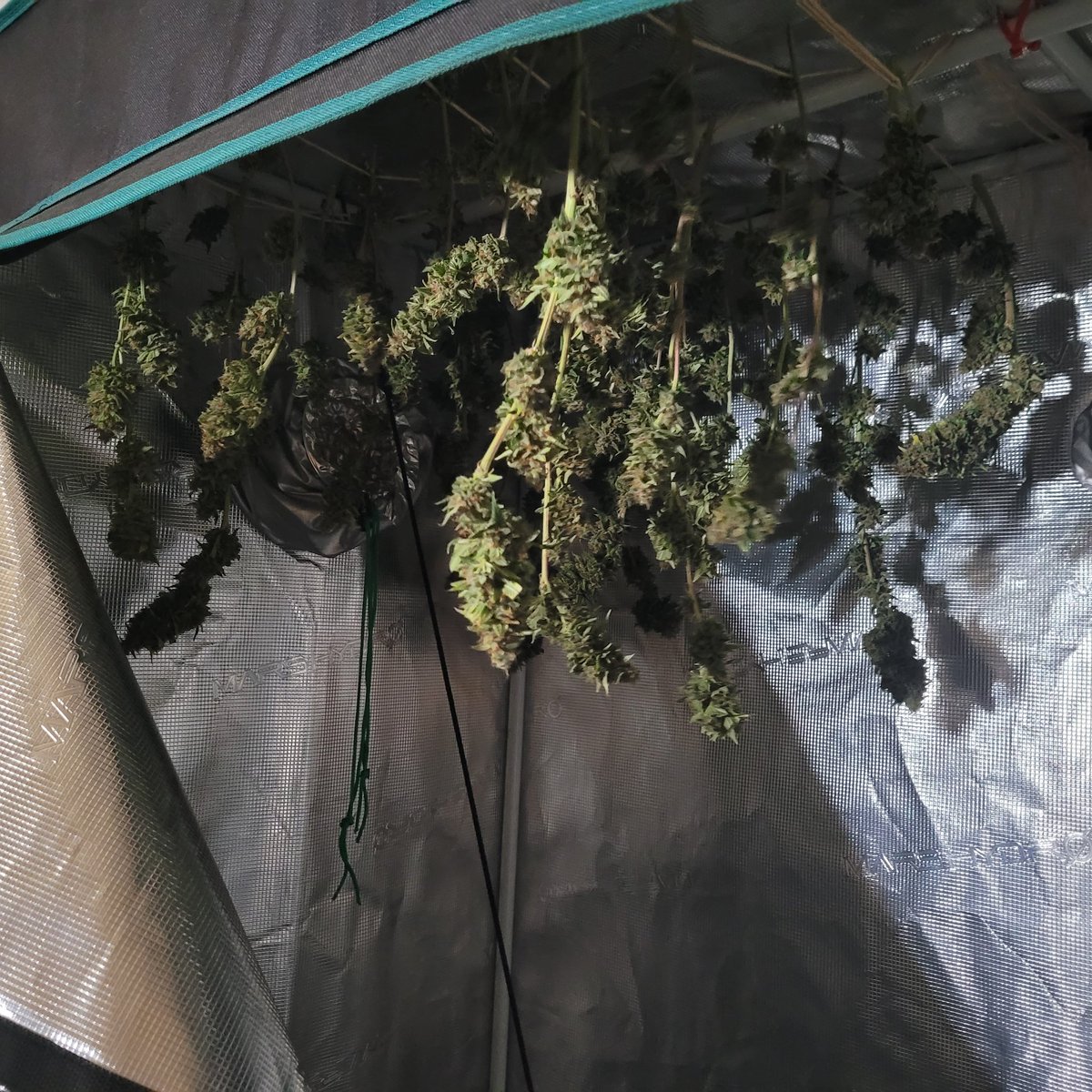 All done..see ya in a week...