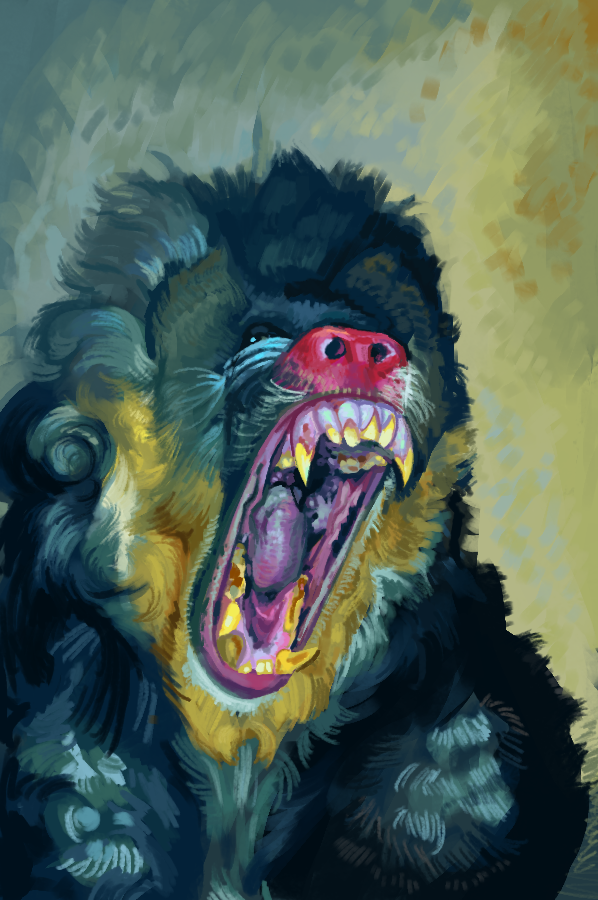 Anestesio's tweet photo. More studies, Pinterest and my thumb https://t.co/EeA6rP9Tiq