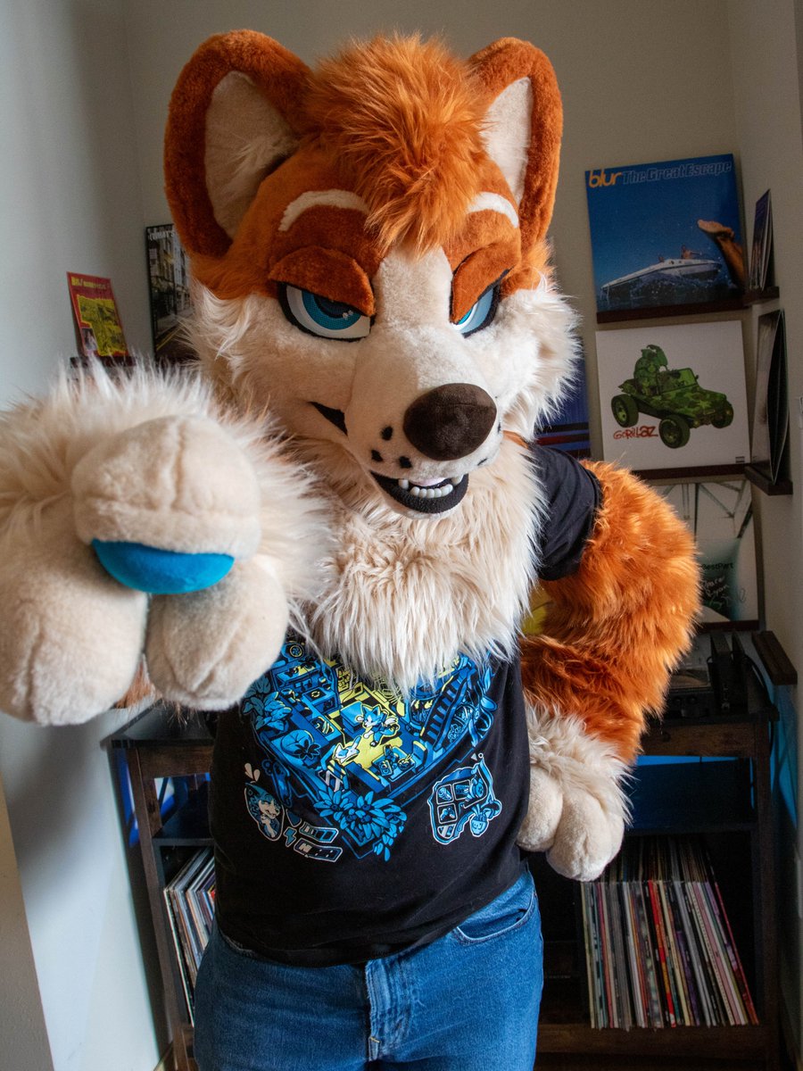 Toffee Corg tweet media