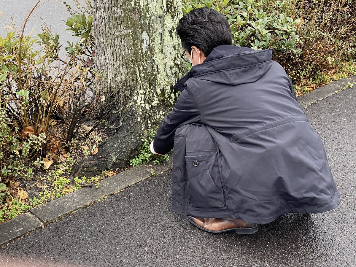 hardoff_sakura's tweet photo. ハードオフの創業の日として地域の清掃活動を行いました。 https://t.co/nJNqQyVCRr