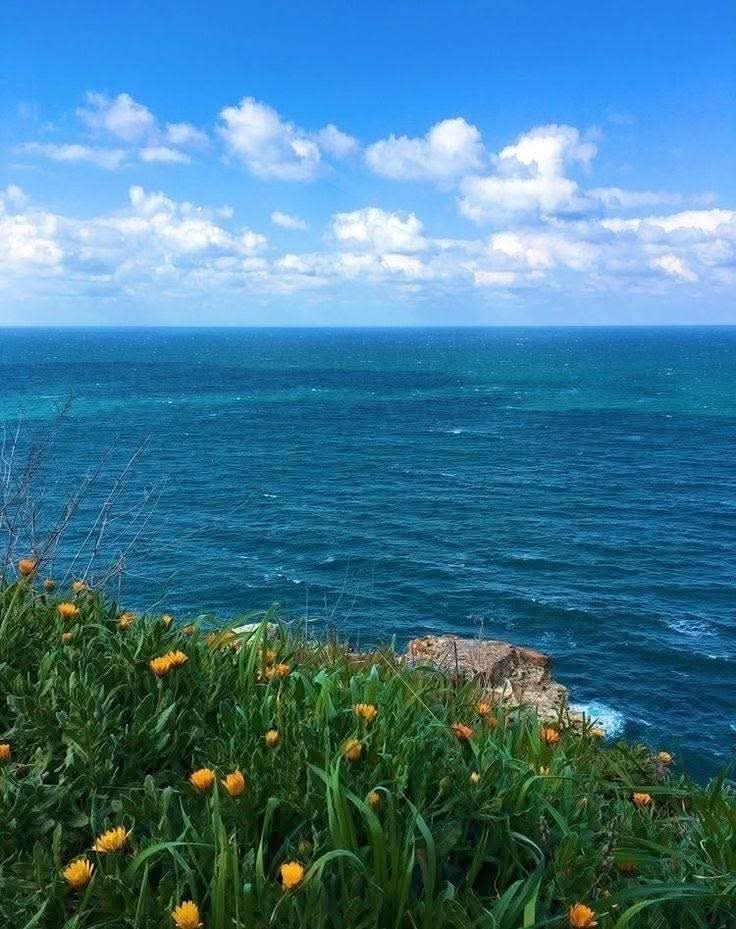 Câu nói nhẹ nhõm nhất mà tôi từng nghe là: 
“Hãy để hoa trở thành hoa, hãy để cây trở thành cây, hãy trả lại người khác cho người khác, hãy trả lại chính mình cho chính mình.”