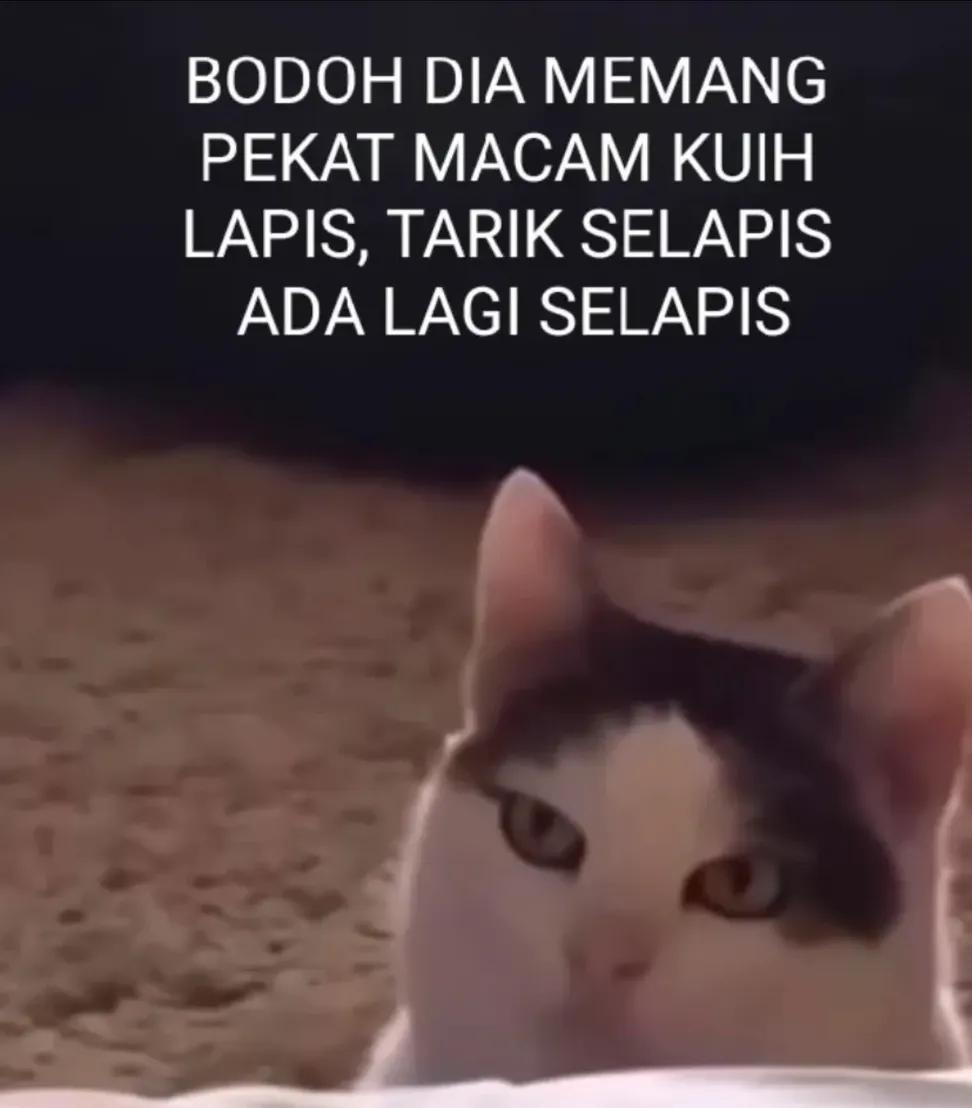 Enchus4's tweet photo. @bluebayban @tirta_cipeng Rasah perlu kepentingan iki soal kemanusiaan saiki bayangno yen bojomu opo adimu opo tonggomu dilecehke opo koe yo meneng wae suuuu gokkk https://t.co/WlvJ9Ojj4Z