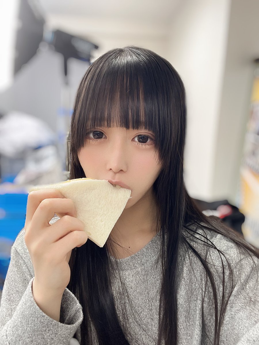 サンドイッチたべてるところ😽