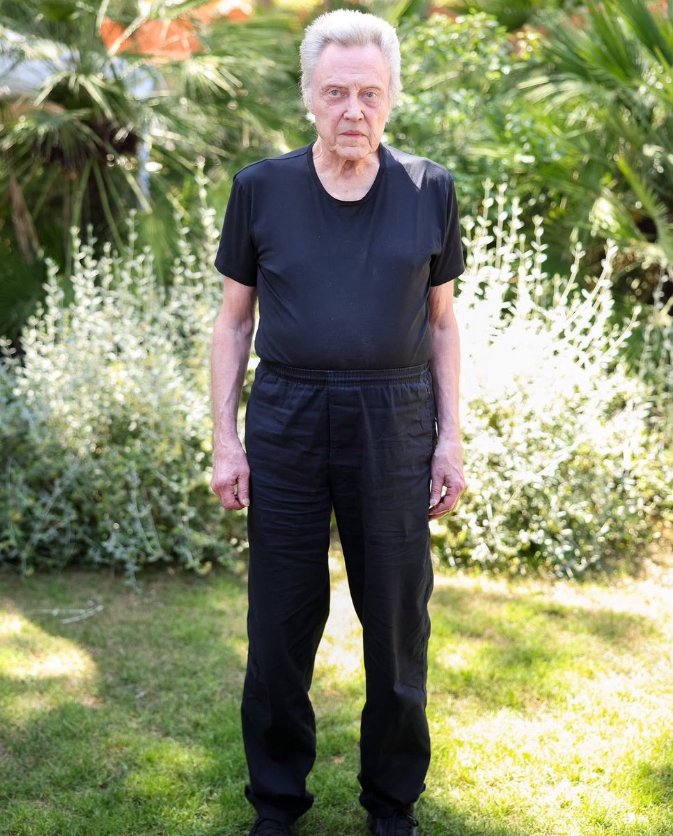 SailorMagatron tweet media