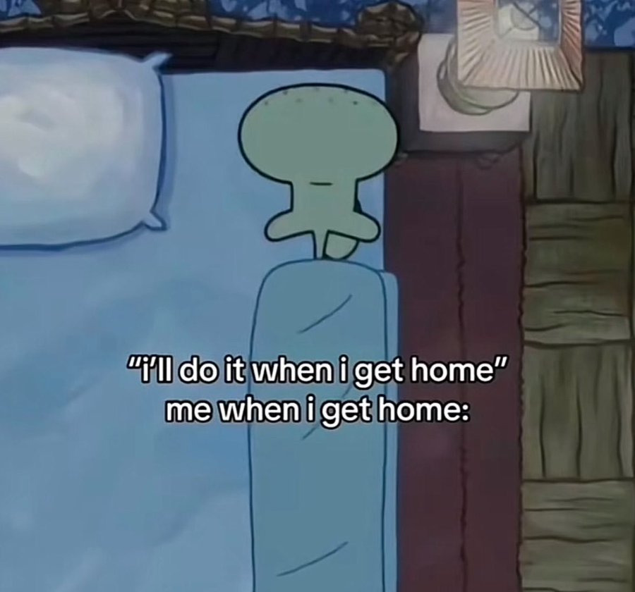 Out Of Context Animals (@animalscontexts) on Twitter photo 