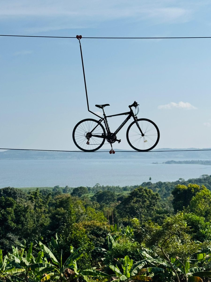 Nimi Pamela tweet media