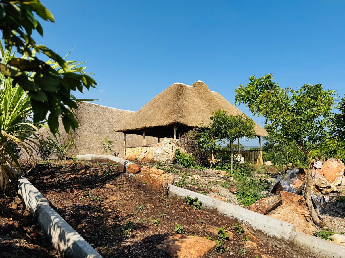 Nimi Pamela tweet media