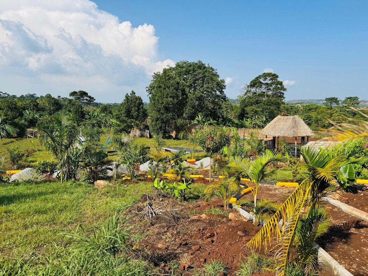 Nimi Pamela tweet media