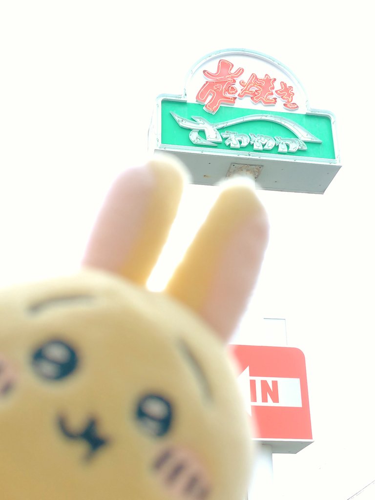 はんしろう (@5shakuzake) on Twitter photo 