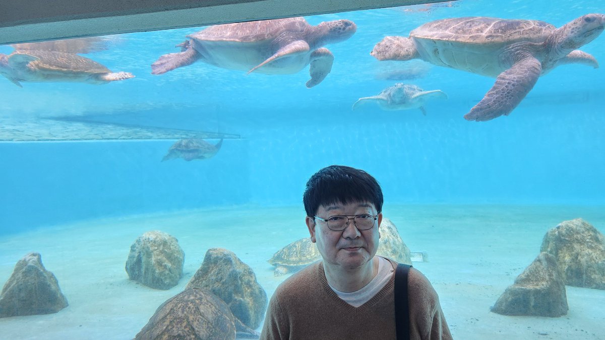 Post by SUZUKI Atsushi on X: ウミガメ