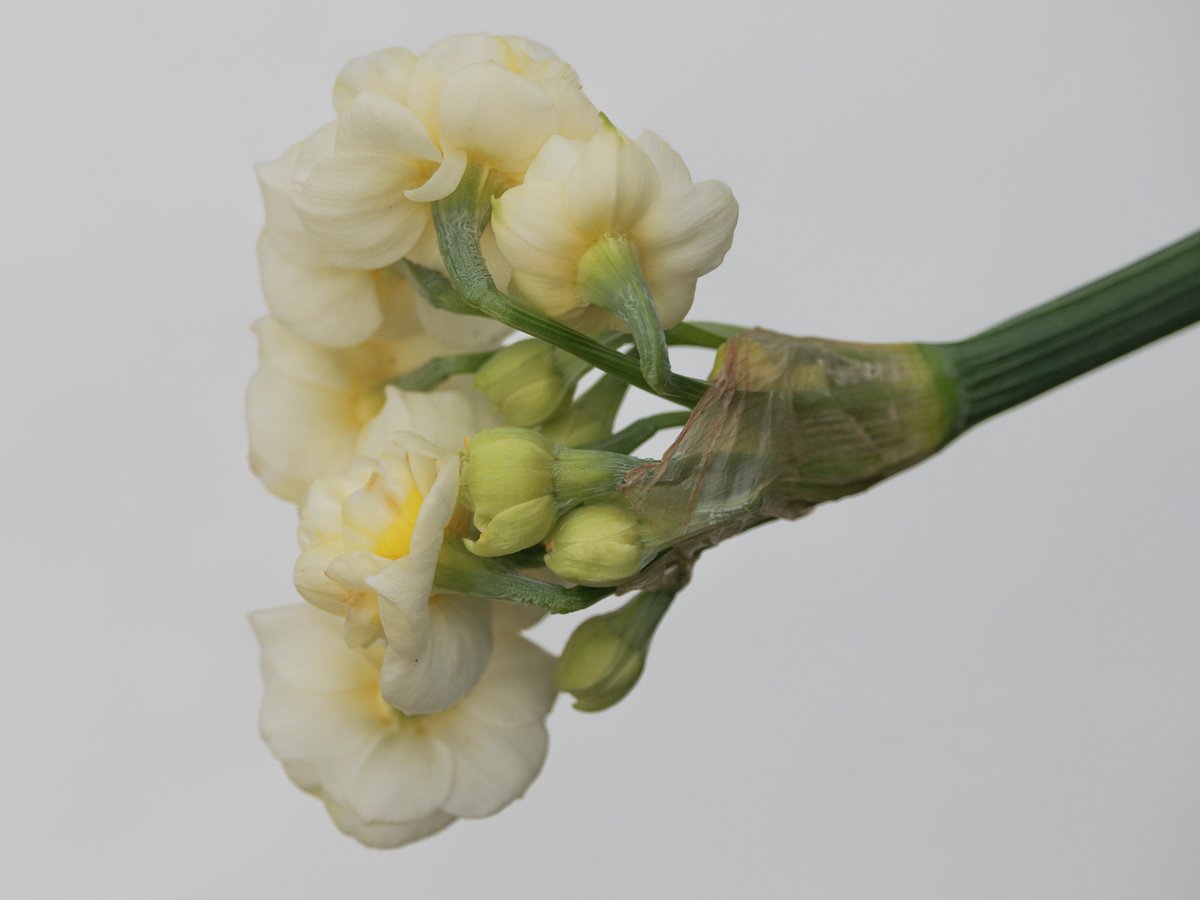 Daily Picture Theme tweet media