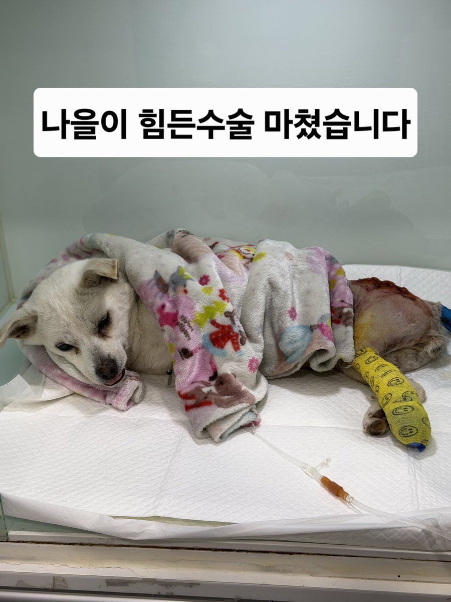 강릉보호소 구조자 미소♡사랑 tweet media