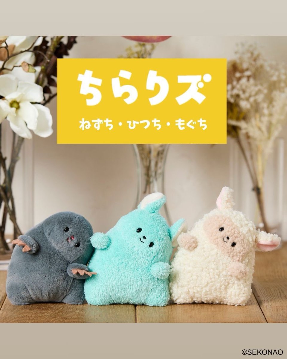 つよきパンダ🌏▷ﾊｯﾋﾟｰﾊﾞｽﾞｰｶｰｽﾞ!!! (@panda0456) / Posts / X