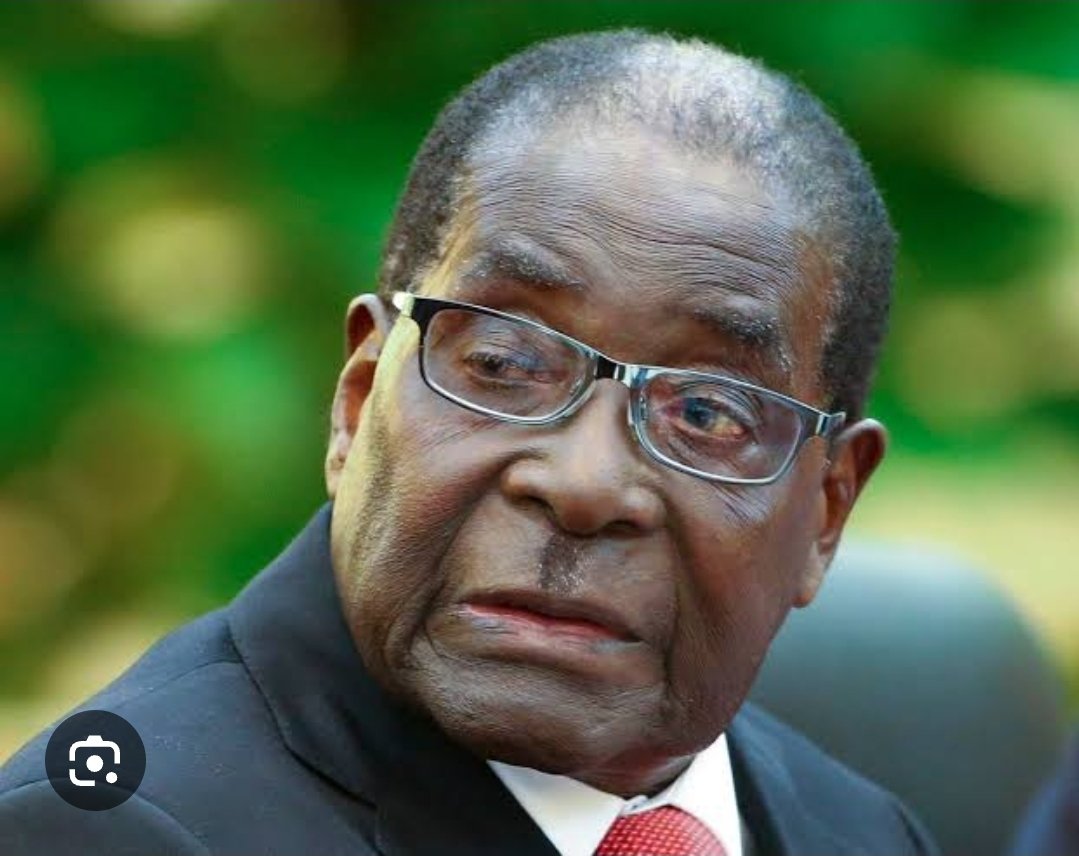 RobertsFre91738's tweet photo. These greedy people have no respect of the constitution, seems like its in their DNA to die in power. Shonas love power, looting and corruption too much . https://t.co/TTKh27YZjV