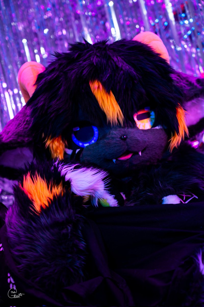 #FursuitEveryday 
#Fursuit

헤이
좋아하는 으릉이라던가 있어?