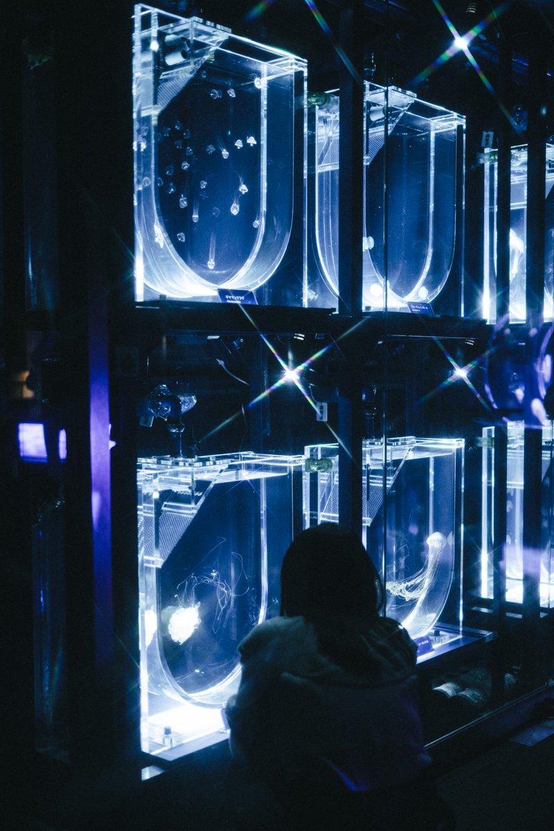 ごりかめ️️️ 𖤐⸝⋆ tweet media