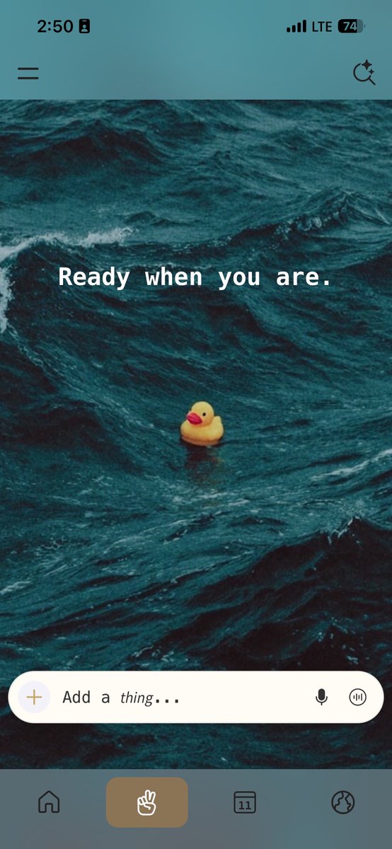 chan ⚡️ tweet media