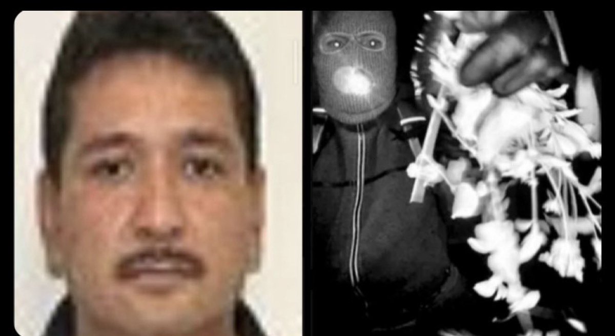 BagCollector_'s tweet photo. @nypost Same person? https://t.co/DOMZxS5iRv