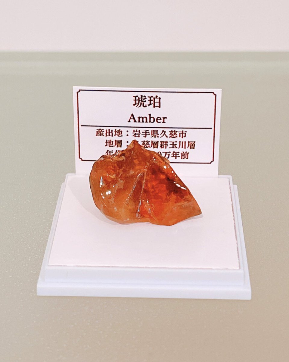 寒い日が続きますが、この琥珀のように今日は暖かい一日でした！

#琥珀 #アンバー #原石 #標本 #化石 #久慈 #天然石 #鉱物好き #石好き