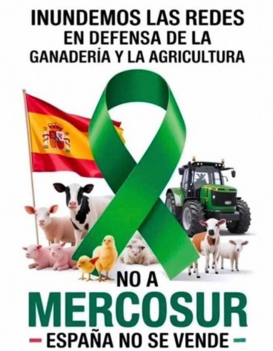 Hagámoslo.
Por el campo español. Por nuestra soberanía alimentaria. 💪🏻🇪🇦💚