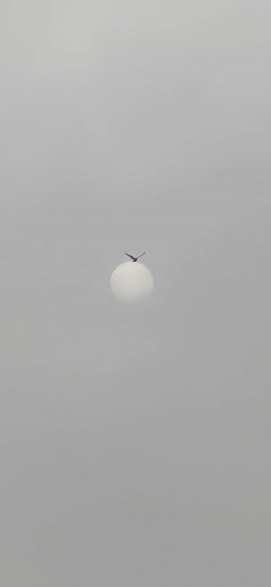 "İki bin kişinin isteğiyle ve karşı konulmaz bir biçimde öne sürüldüğümü hissediyordum. Ve işte tam o anda Beyaz Adam'ın Doğu'ya hakimiyetinin ne kadar boş ve sahte olduğunu ilk kez kavradım."
George Orwell / Bir Fili Öldürmek