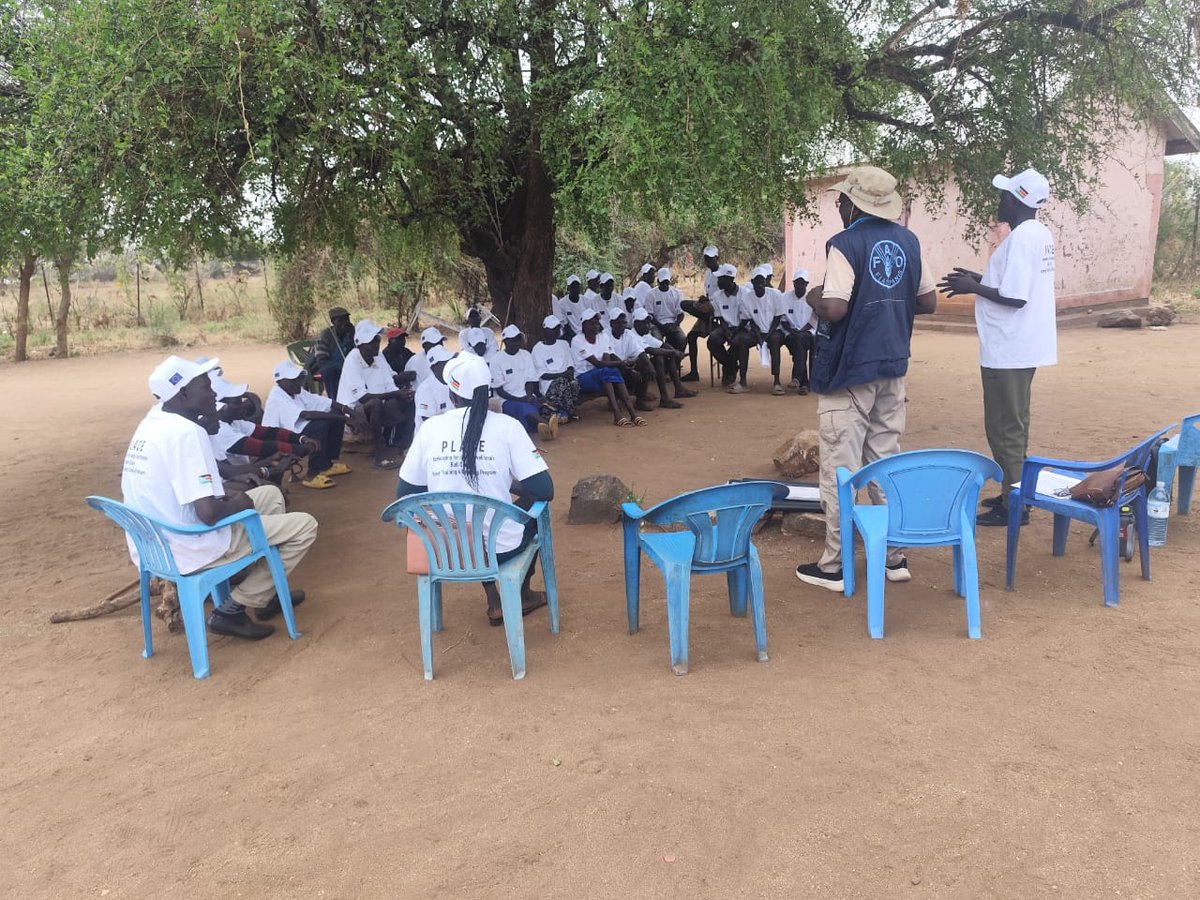 FAOSouthSudan's tweet photo. .@FAO is training 40 beekeepers 🐝 &amp; distributing beehives 🍯 under the #PLACE project, boosting households' incomes in Budi County.

The skills gained will strengthen community #Livelihoods &amp; #Resilience.

Thank you to @EUinSouthSudan 🇪🇺 for the generous support. https://t.co/RxMlViM74Z