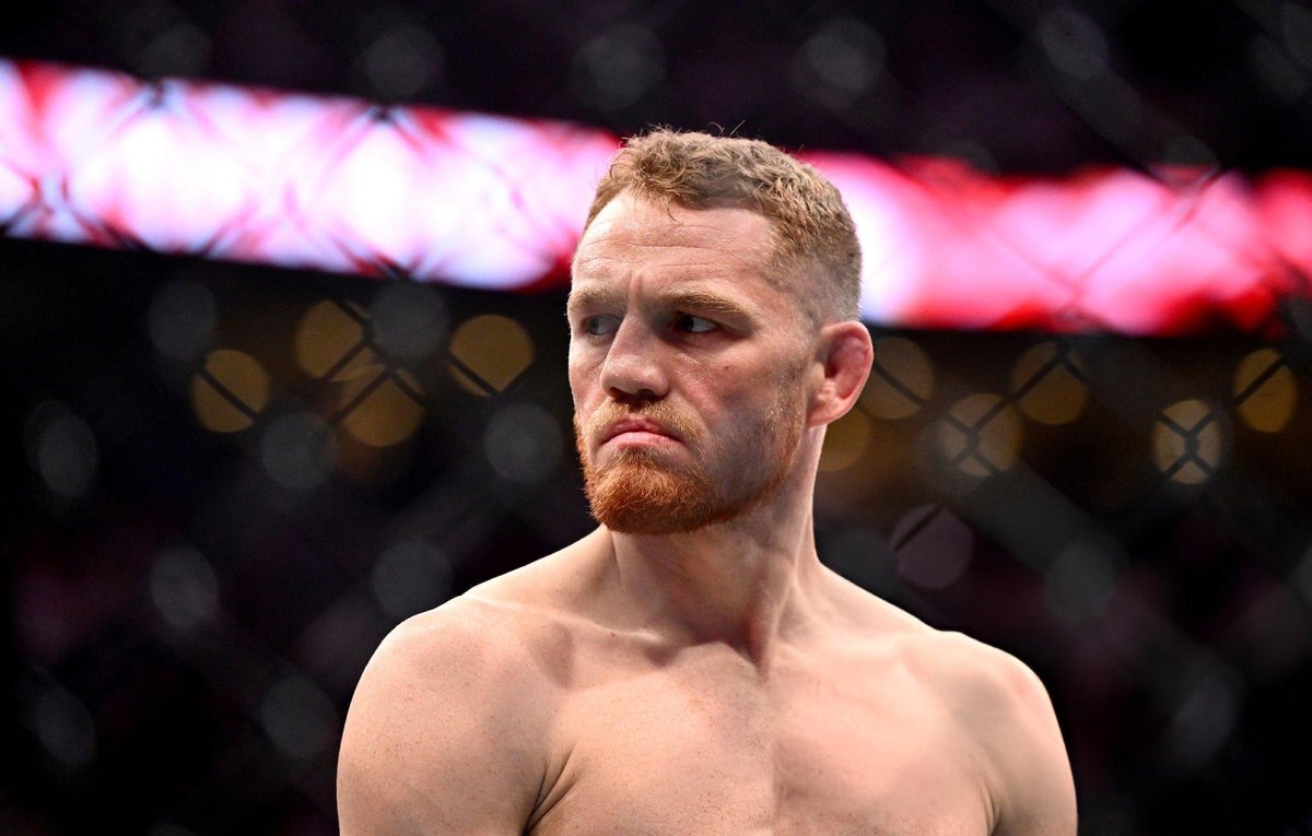 MeterPeter UFC tweet media