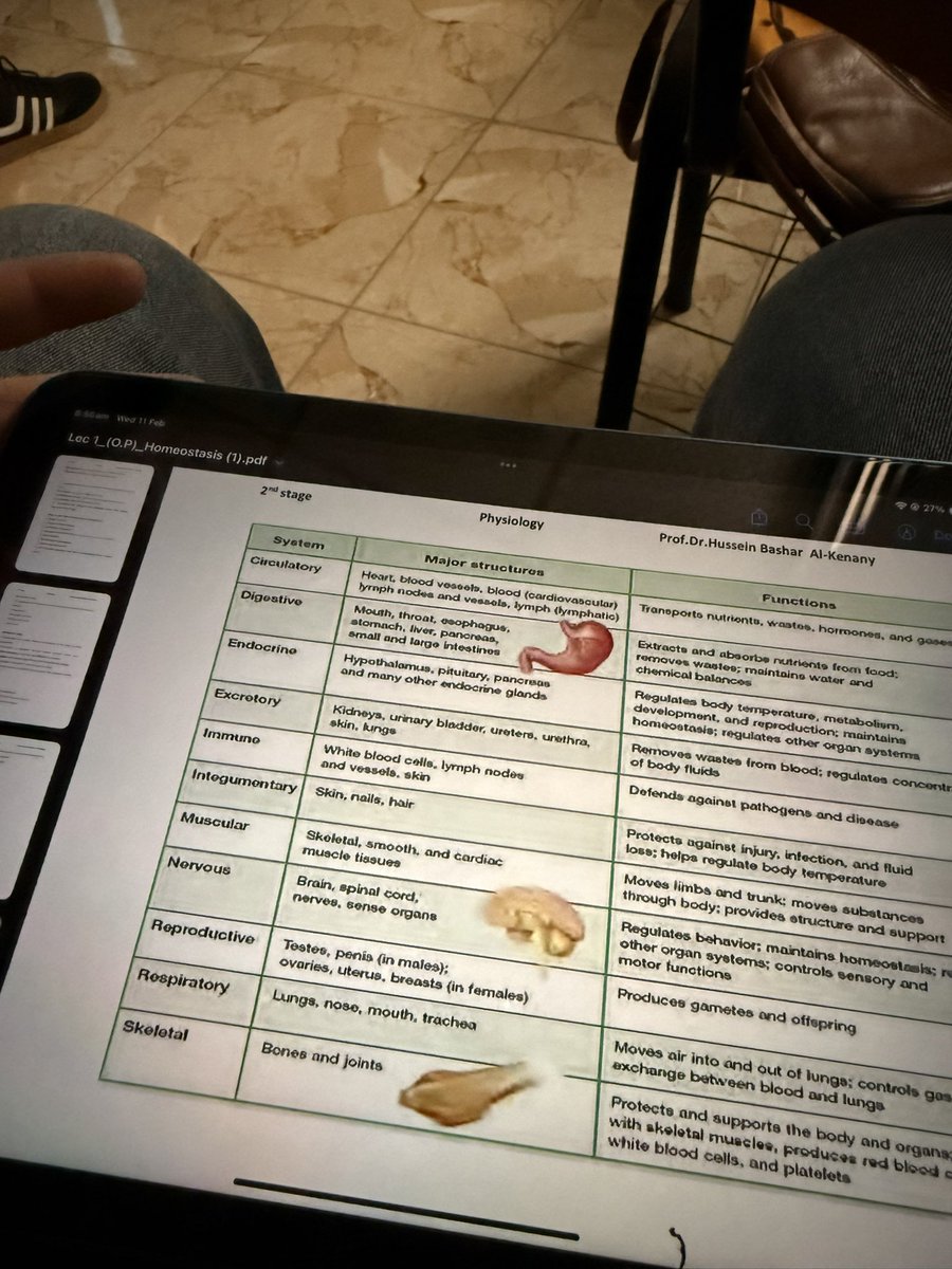 ModiskFN's tweet image. تبا