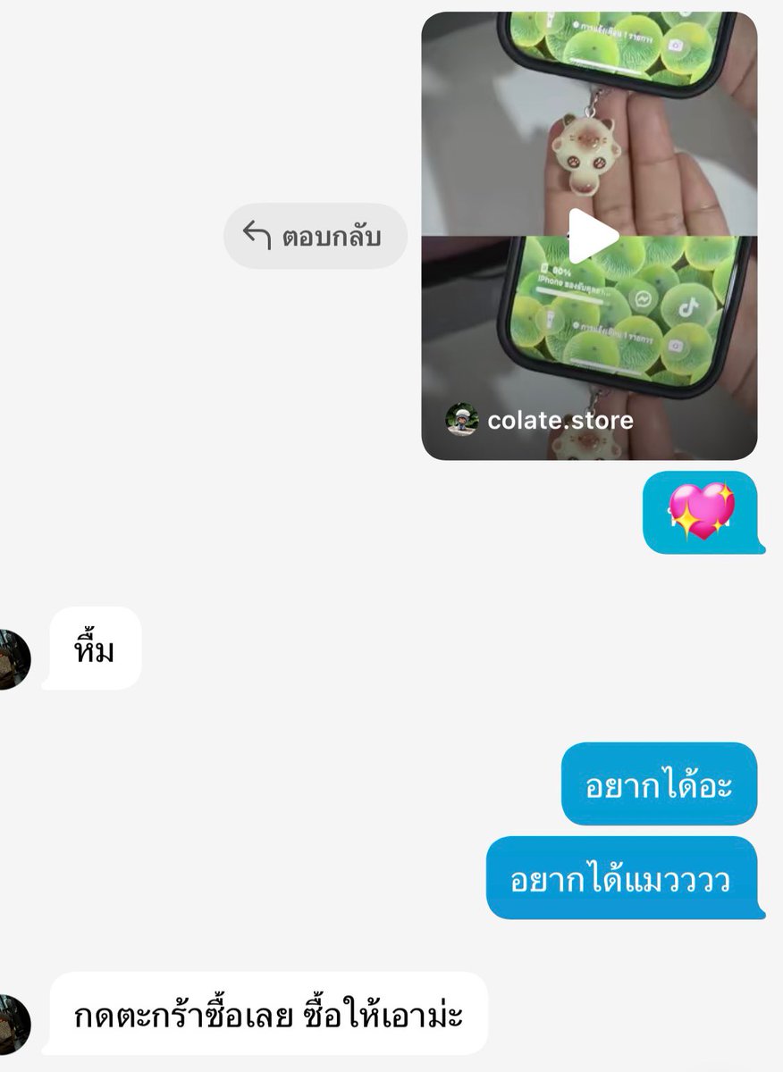 เป็นการบอกรักที่ไม่มีคำว่ารัก 😍🐱