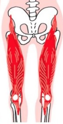 💢「膝痛」「腰痛」💢
寒波もあって痛みの予約が多い。
病院に行っても「何の問題もない」
でも痛い😭なんで痛いの!?😭

痛いのは理由がある。
付随した筋肉の張り。練習の過疲労。
痛いのを無視すると…更に酷くなり取り返しのつかないことに😭

#金田BODYTALKING
コミットして施術します！