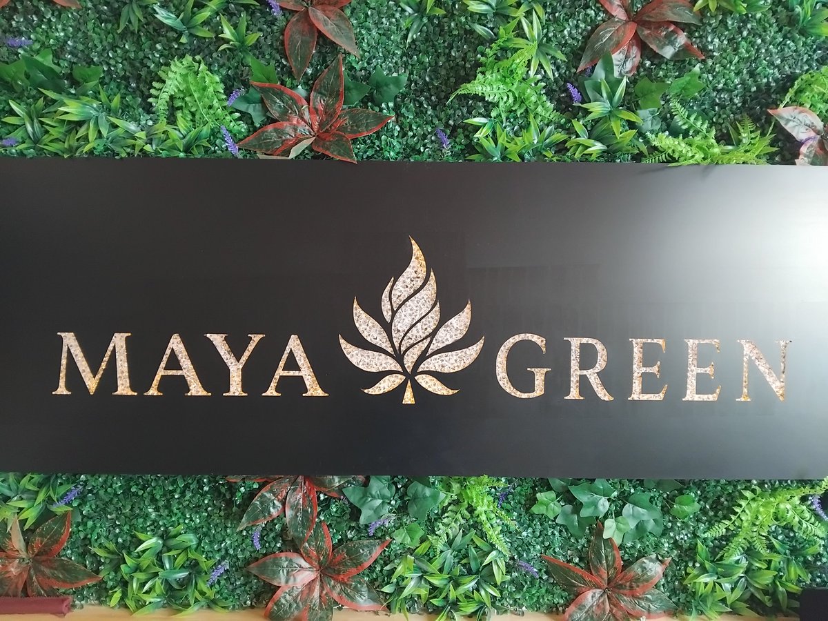 MAYAGREEN420's tweet photo. 本日もOPENしております🌿
話題のストレインから定番人気まで‼️
しっかり取り揃えております🔥
「ちょっと見てみたい」だけでも大歓迎🙆‍♂️
来ればわかるラインナップです✨️ https://t.co/8kyGPjoTPN