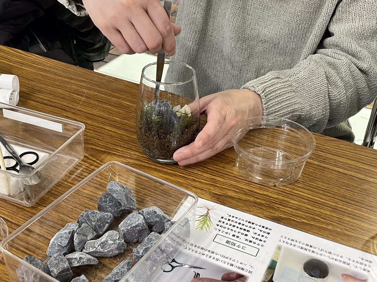 morifure's tweet photo. 今日の「苔テラリウム体験」でお客様が作製された作品と様子をご紹介するよ🙌当館オリジナルのミニチュアフィギュアをテラリウム内に入れて、ストーリー性のある素敵な作品たちが完成したね♪

#箱根　#hakone　#森のふれあい館　#箱根やすらぎの森　#苔テラリウム https://t.co/zDTh7jJZJF