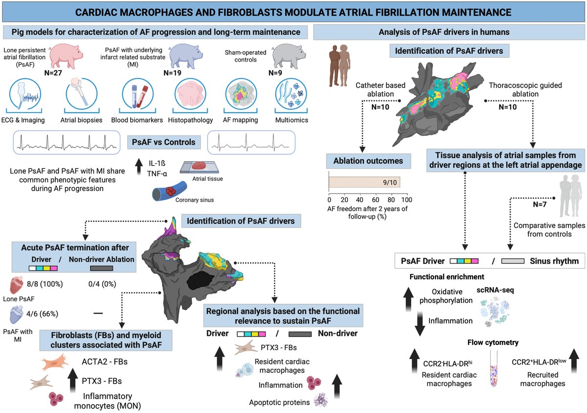 David Filgueiras Rama tweet media
