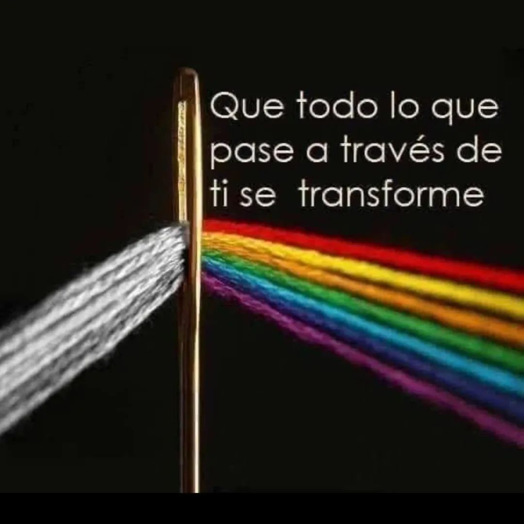 Mireia Bosch Tello tweet media