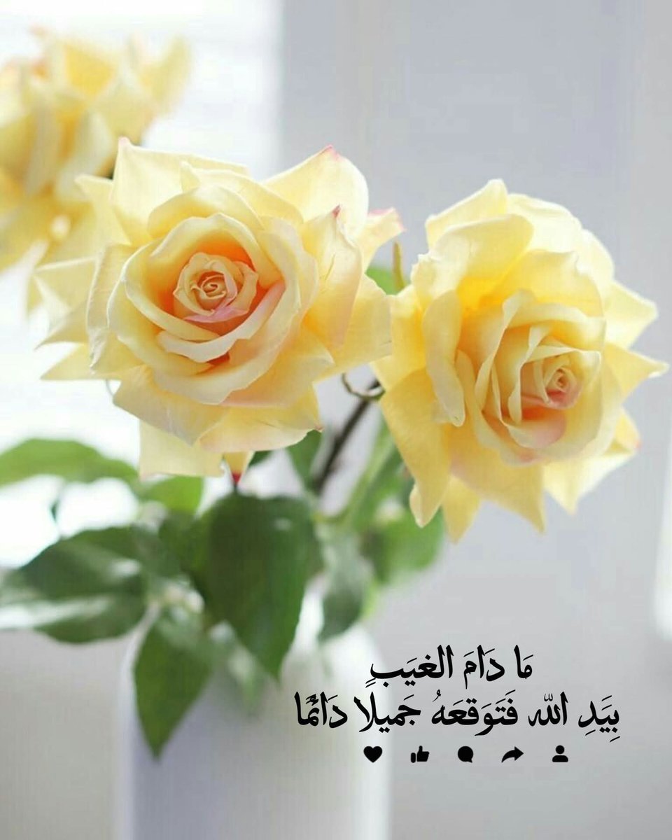 رَبُ الخير لا يأتي إلا بالخير  ...
صباح الخيرات  ...