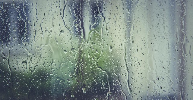 e_niort's tweet image. #Météo du mercredi 11 février 2026 en Deux-Sèvres : pluie. 🌬️ Rafales à 90 km/h. 🌡️ 8°/13°. Bonne fête aux #Héloïse.
⚠️🟠🟡 Vigilance orange crues et jaune orages, vent et pluie-inondation
→ nrt79.link/sjre4b 
Prévisions de La Météo de Max avec l’app Prévi+
→