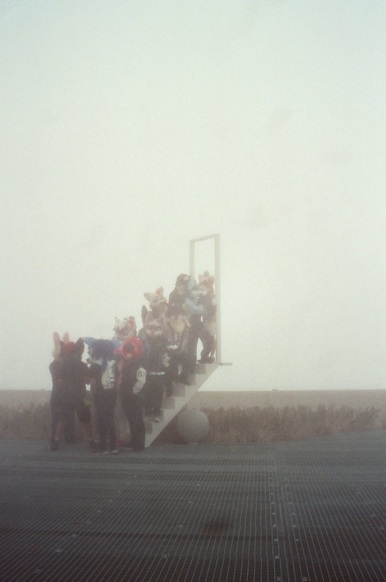 Yew l 友 tweet media