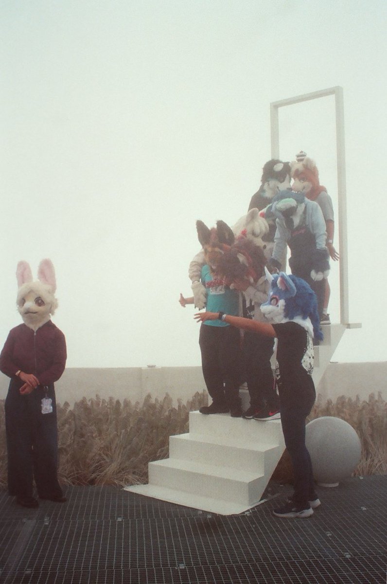 Yew l 友 tweet media