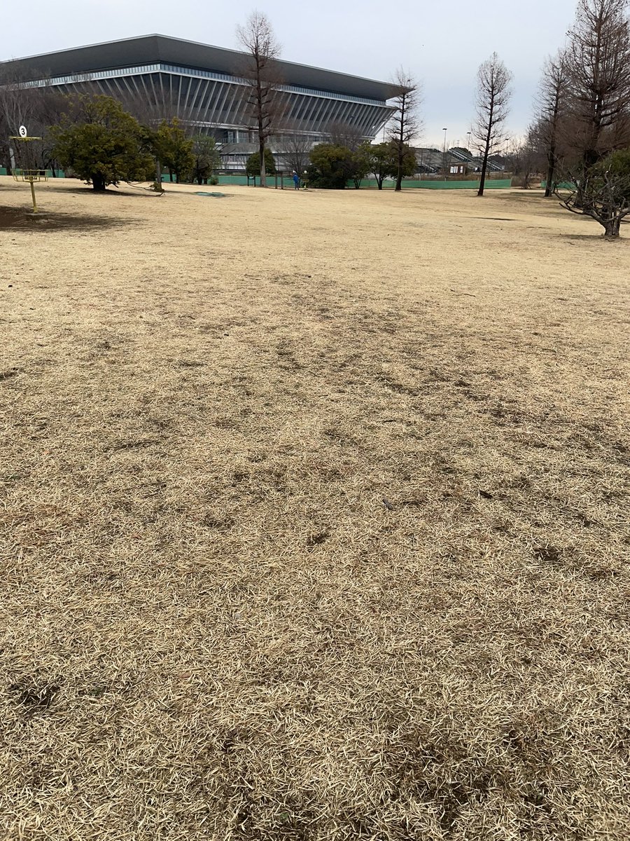 Kohei Aranami tweet media