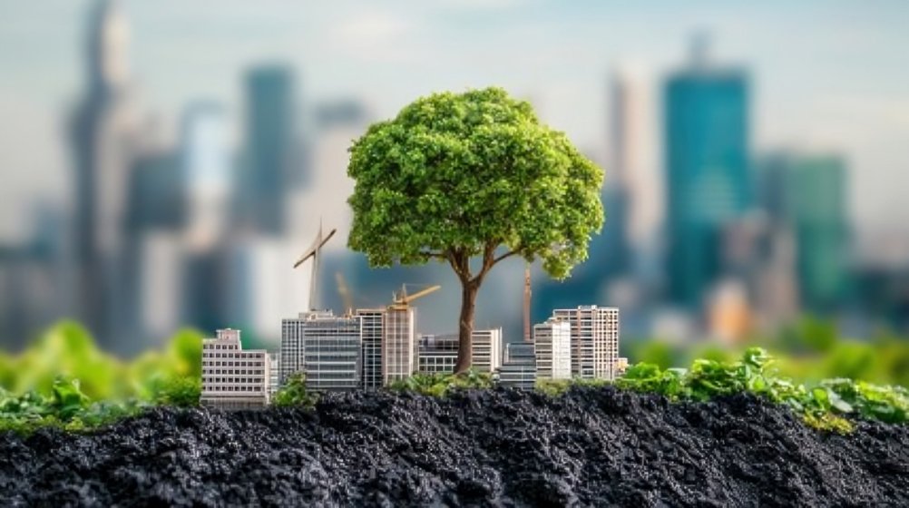 buildafrique's tweet image. At #Buildafrique, we provide a strategic blueprint for success, whether it's for #feasibilitystudies for a new #solarfarm, transaction advisory for a #publicprivatepartnership energy project, or navigating the regulatory landscape for #carbonmarkets.
More: buildafrique.com/industries/ene…