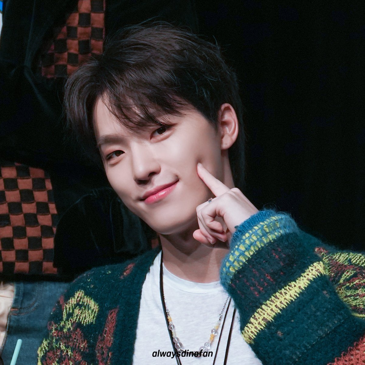 #Bang_터져버리는_디노의_생일폭죽
#BrightStar_DINOday

생일 축하해 내 빛!!!!
지금처럼 영원히 무대에서 빛나줘🎉