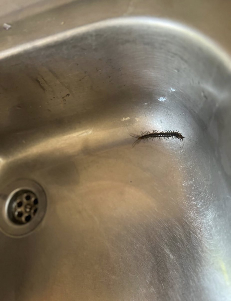 Ocean🐙 tweet media