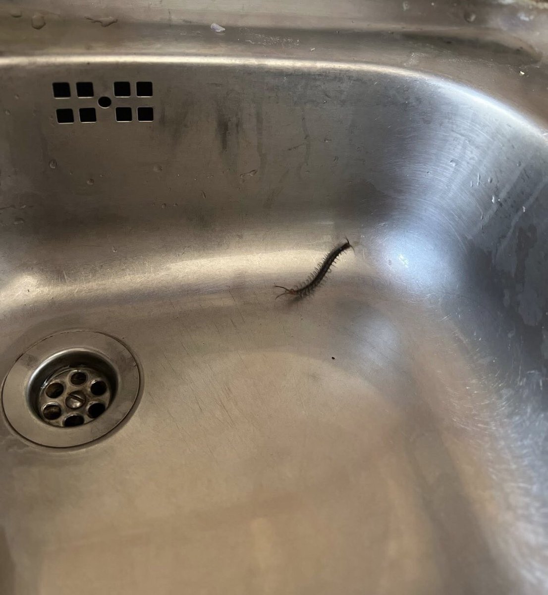 Ocean🐙 tweet media